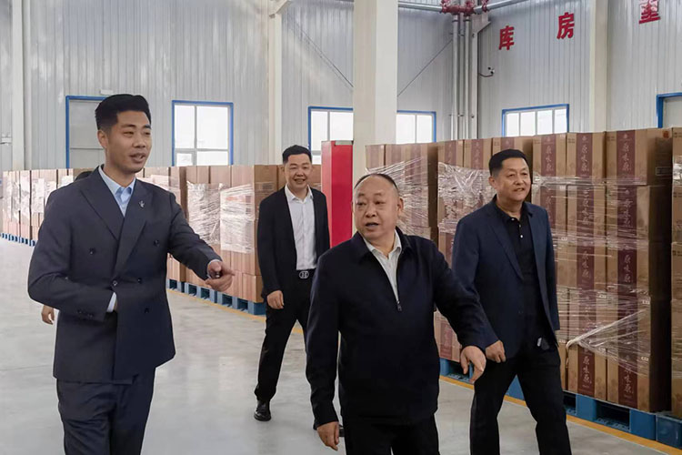 環境展示